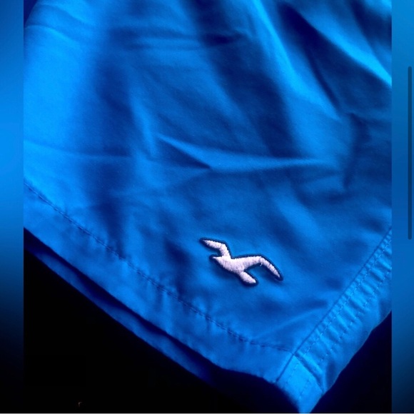 Bundle (2) Hollister Icon Logo Swim Shorts - Picture 8 of 16